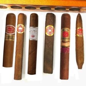 Six Handmade Cigars Gift Boxed