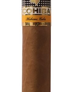Cohiba Robusto Cigar - Single Cigar