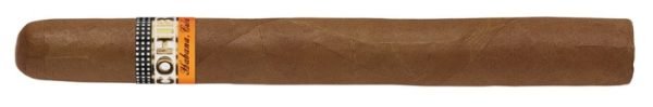 Cohiba Siglo III Cigar - Single Cigar