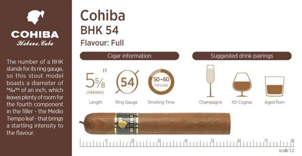 Cohiba Behike BHK 54 Limited Edition Single Cigar - Image 2