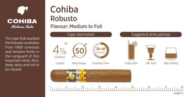 Cohiba Robusto Cigar in a  Cardboard Gift Box of 3 - Image 2