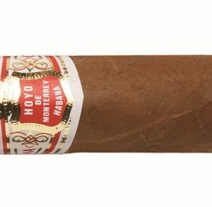 Hoyo De Monterrey Petit Robusto Cigars  Single