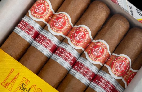 La Flor de Cano Selectos No.3 - Single Cigar - UK Habanos Regional Edition - Image 2