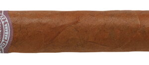 Rafael Gonzalez Petit Corona cigars - Single Cigar