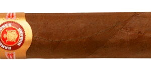 Ramon Allones Allones Specially Selected Cigars  - 1 single cigar