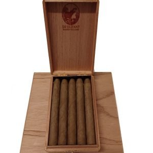De Olifant Corona Box of 10 Dutch Cigars